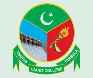 WAPDA Cadet College Tarbela 8th FSc Entry Test 2019 Online Preparation