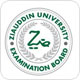 Ziauddin Board Results
