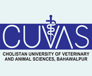 UVAS Result