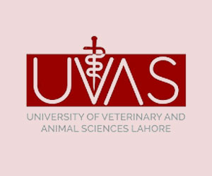UVAS Merit List, admission