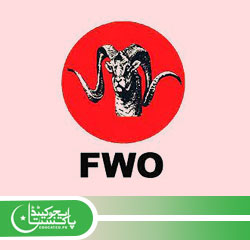 FWO Trainee Program Jobs Apply Online
