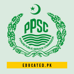 PPSC Deputy Accountant Syllabus Past Papers MCQs Test