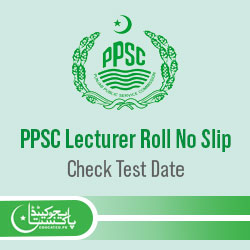 PPSC Lecturer Jobs Roll No Slip Download