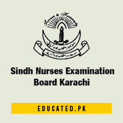 Sindh Nursing Examination Board Result SNEB Check Online