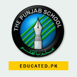 The Punjab School Online Result 2024 Nursery To 8th Class   The Punjab School All Campuses Online Result 