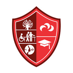 Bakhtawar Amin Medical College logo