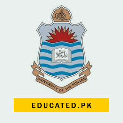 Punjab University Date Sheet 2024