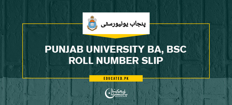 Punjab University PU Roll No Slip 2024 Download PDF