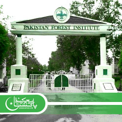 Forest Department Jobs Application Form