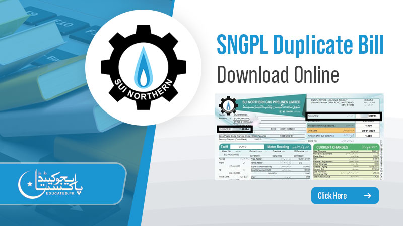 How to Check SUI Gas Bill