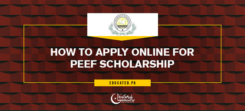 PEEF Scholarship 2024 Online Registration Form   How To Apply Online For PEEF Scholarship 