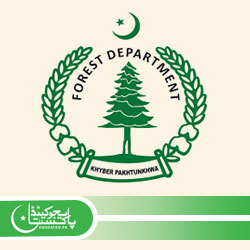 Mehkma Janglat Jobs Advertisement Apply Online