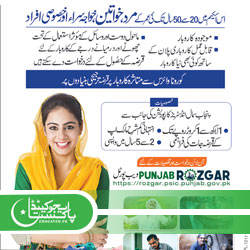 Punjab Rozgar Scheme Online Apply