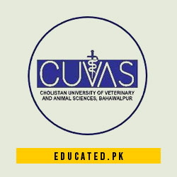 CUVAS Bahawalpur Merit List DVM 1st 2nd 3rd
