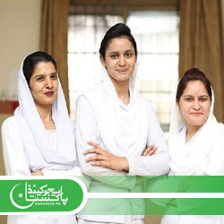 Government Punjab Nursing Admission System Online Portal