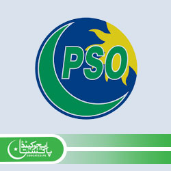 PSO Mentorship Program Salary Apply Online
