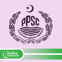 Pakistan Studies PMS Past Paper Download PDF