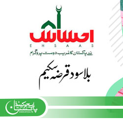 Prime Minister Loan Scheme Online apply