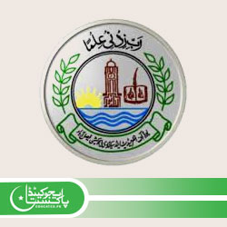 BISE Faisalabad 1st year Past Papers Download PDF