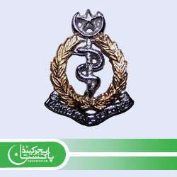 CMH Rawalpindi Jobs Online Apply