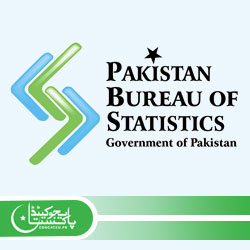 Pakistan Bureau of Statistics PBS Jobs Apply Online