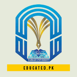 Taibah University Undergraduate Scholarship