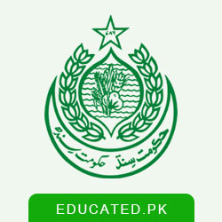 Governor Sindh IT Course Result Check Candidates List