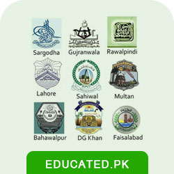 All Punjab Board 2nd Year Topper Name