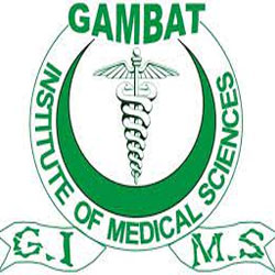 Gambat Medical College logo