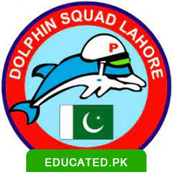 Dolphin Police Jobs logo