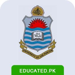 Punjab University Affiliated Colleges Result 2024
