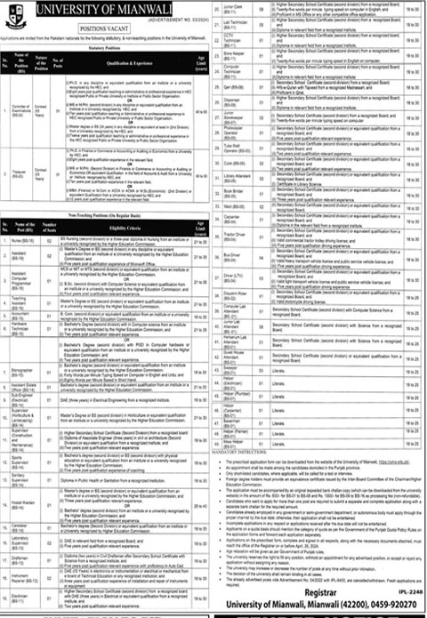 University Of Mianwali Jobs Advertisement 2024
