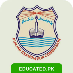 8th Class Position Holder Result Punjab Boards