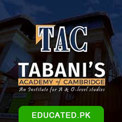 Tabani's School of Accountancy Karachi logo
